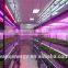20W Led Grow Light Tube Vertical Farming Hydroponic/aquaponics Tomato Led Light
