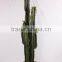 SJ3001107Ornamental Artificial Green Cactus Plants
