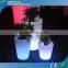 Wine Bar Flower Pot Decorative Light LED Glow Flower Pot