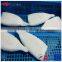 Frozen IQF High Quanlity Pacific Squid Tube
