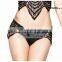 Sexy Women Lace Brief Lady Underwear