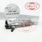 ORLTL 0 445 110 824 New Fuel Injection 0445110824 Common Rail Diesel Injector Assy 0445 110 824 Fuel Injection Nozzle