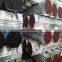 1inch carbon steel pipe price per ton sell in  trade assurance