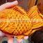 bakery equipment waffle making machine with  fish shape