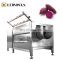 Automatic large capacity carrot washing and peeling machine root vegetable washer