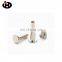 Screw Fasteners Nickel Plated Male and Female Screw