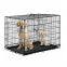 Cheap Dog Crate Double-Door Dog Crate Small Size Dog Metal Dogs Foldable Crates Doghouse