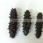 Wholesale Dry Sea Cucumber