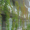 Flexibles Edelstahlseilnetz SS316 Grünwand-Gartenzaun, Brüstungssicherheitsgitter