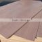 Fancy Furniture and Decoration veneer faced Plywood