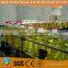 rapeseed oil extraction equipment with reasonable price