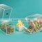 Durable stylish acrylic poop candy dispenser