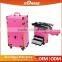 Professional New Fashion 2 In 1 Professional Cosmetic Trolley Case