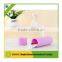 2016 Convenient traval camping toothbrush case/plastic toothbrush box P76790