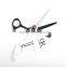 dragon riot professional hair thinning scissors