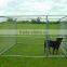 Portable Fences For Dogs