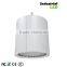 GL-08D low price housing cob 80W down light led