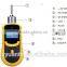 Portable High Accuracy Gas Detector
