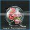  website hot christmas decoration gift round dome glass golbe handing terrarium
