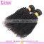 2016 Hot Sale Full Cuticle 4c Afro Kinky Curly Human Hair Weave, Mongolian Kinky Curly Hair