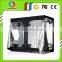 Indoor greenhouse large size grow tent 300*300*200cm