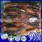 Frozen Illex Squid Whole Round 300-400g for sale