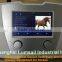 Lumsail equine shockwave therapy machine BS-SWT2X for horse