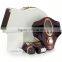 hot newest new Korean technology home use mini slimming machine