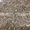 Fresh Singapore Quality Cumin Seed