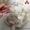 History lowest price !!!!!!!!Scoured fine white wool noils