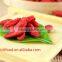 high quality Chinese goji berry