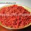 Certificated 2015 new crop china organic and conventional goji berry for sale