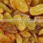 Golden yellow color raisin