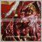 Chinese Water Washed Paprika Pod/Dried Chili