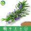 rosemery extract powder carnosic acid manufacture ISO, GMP, HACCP, KOSHER, HALAL certificated