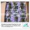 Seaweed products dried Hijiki (naga hijiki) for sale