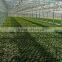 China Made and Best Economical roofing materials hurricane-proof for poultry houses