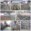 pig farm design / pig farm project
