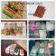 twin screw Dog Cat Fish Pet Food Pellet Machine from Jinan Dayi