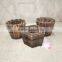 Outdoor Wooden Flower Pot, Wood Planter, Planter Box