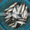 China-made frozen hot sale horse mackerel whole