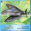 Hot Selling 18 Months Shelf Life 300-500g Bonito