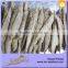 2015 Competitive Price Precooked Fresh Frozen Tuna Loin