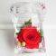 Fashionable And Natural Real Rose Preserved Flowers Wholesale With Acrylic Ring Box Decoration
