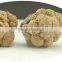 Organic Panax notoginseng / pseudo-ginseng /San qi /Sanchi Powder P. E. Herbal Dietary Supplement 3 Years Gro