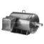 LINCOLN Single Phase TEFC Signature Resilient Base DP Series