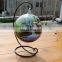 terrarium glass terrarium round clear glass globe ball terrarium Planters Container Glass Flower Vase