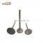Diesel Engine Spare Parts Intake Valve & Exhaust Valve 3924492 for Tractor Truck