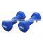 Workout Dumbbells Custom Color Plastic Coated Small Dumbbell Dip Plastic Dumbbells