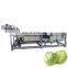 Industrial green vegetable washing machine fruit & vegetable washer with factory price